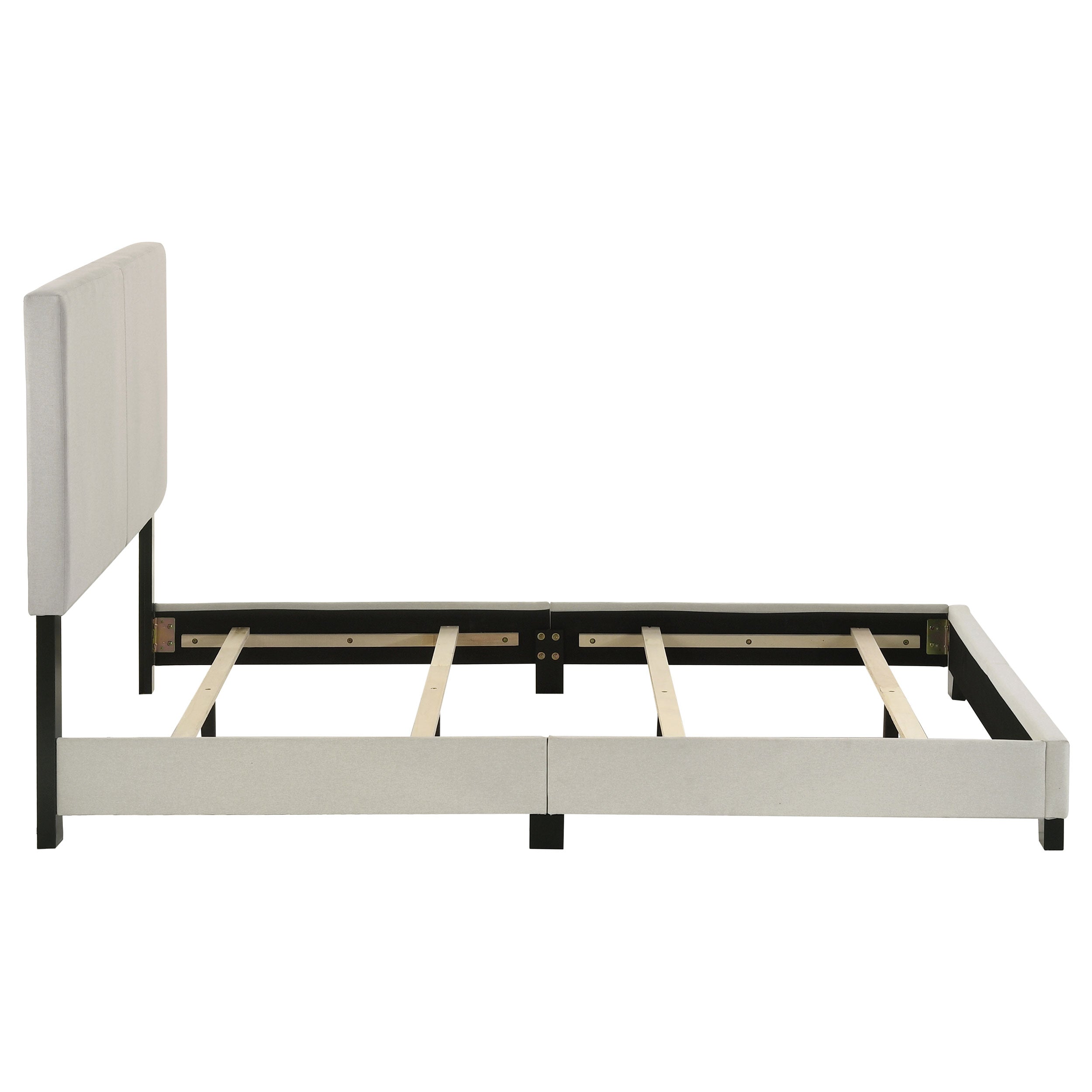 Dorian Upholstered Panel Bed