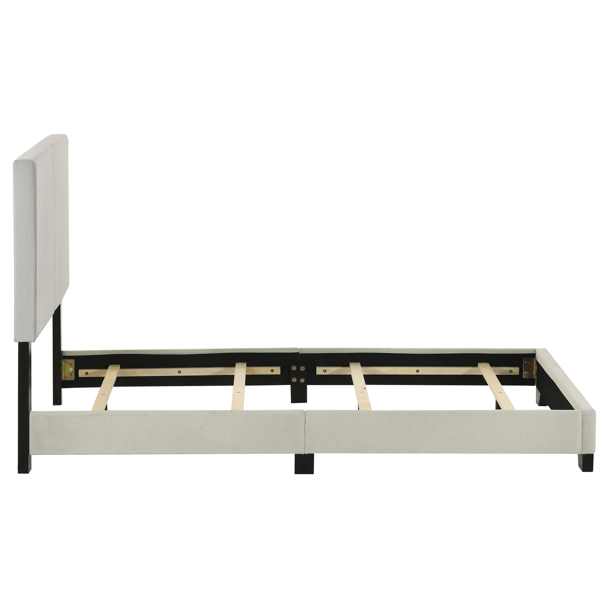 Dorian Upholstered Panel Bed