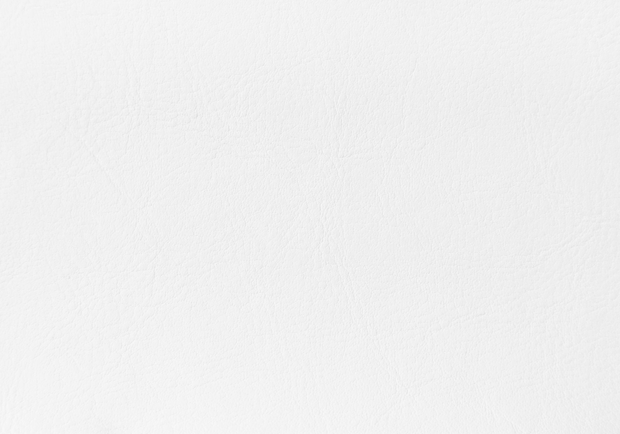 Low Profile Platform Queen Leatherette Upholstered Bed In White