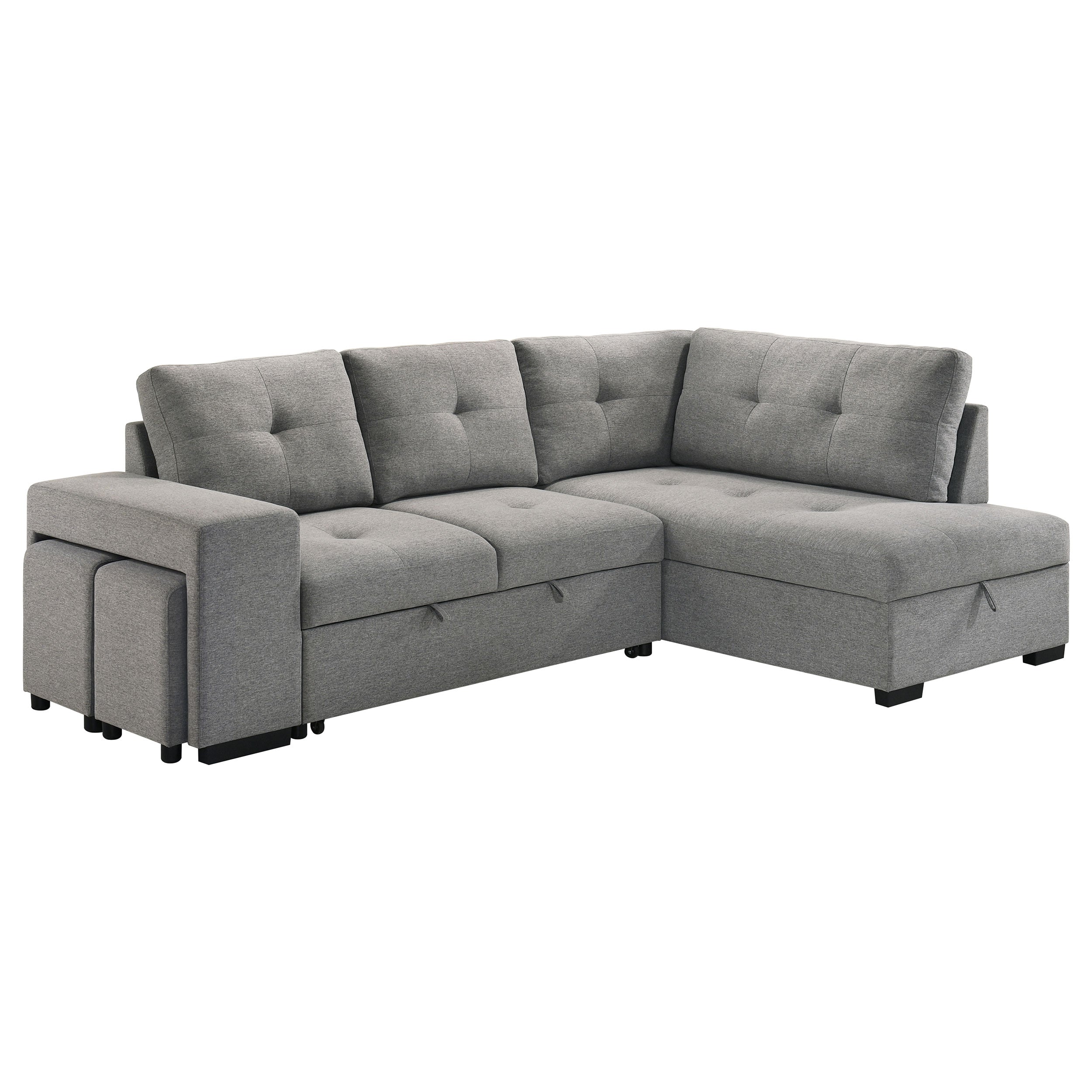 Roanne Sleeper Sectional Sofa