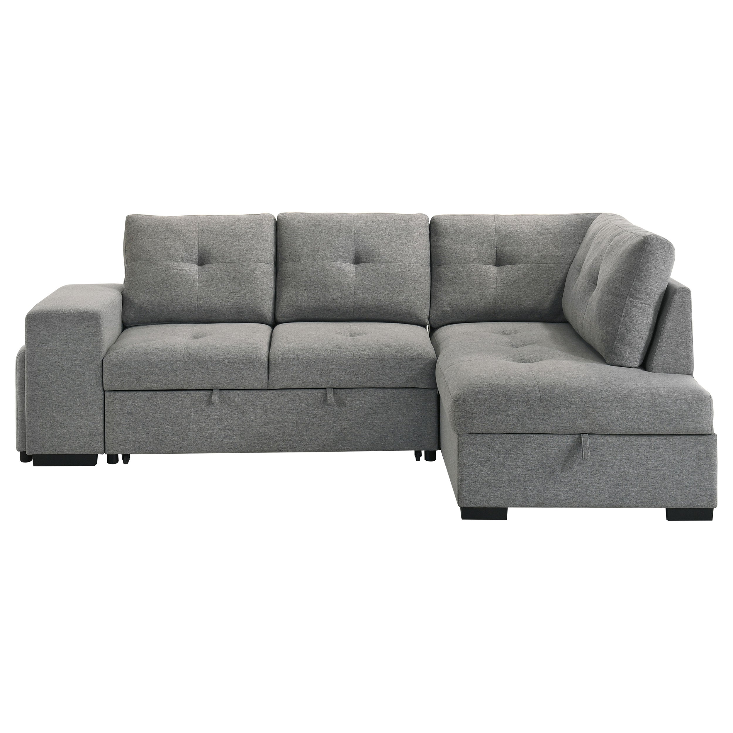 Roanne Sleeper Sectional Sofa
