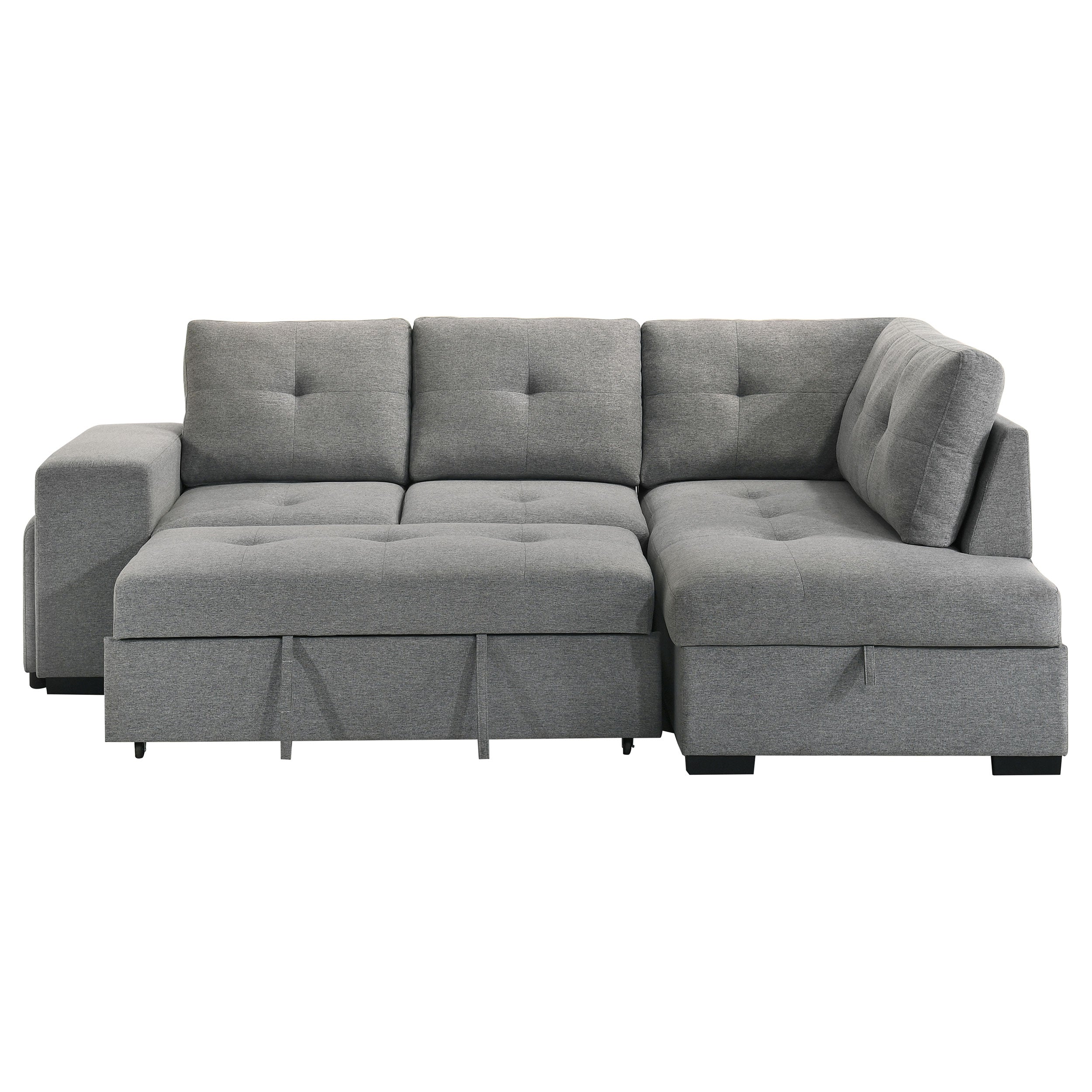 Roanne Sleeper Sectional Sofa