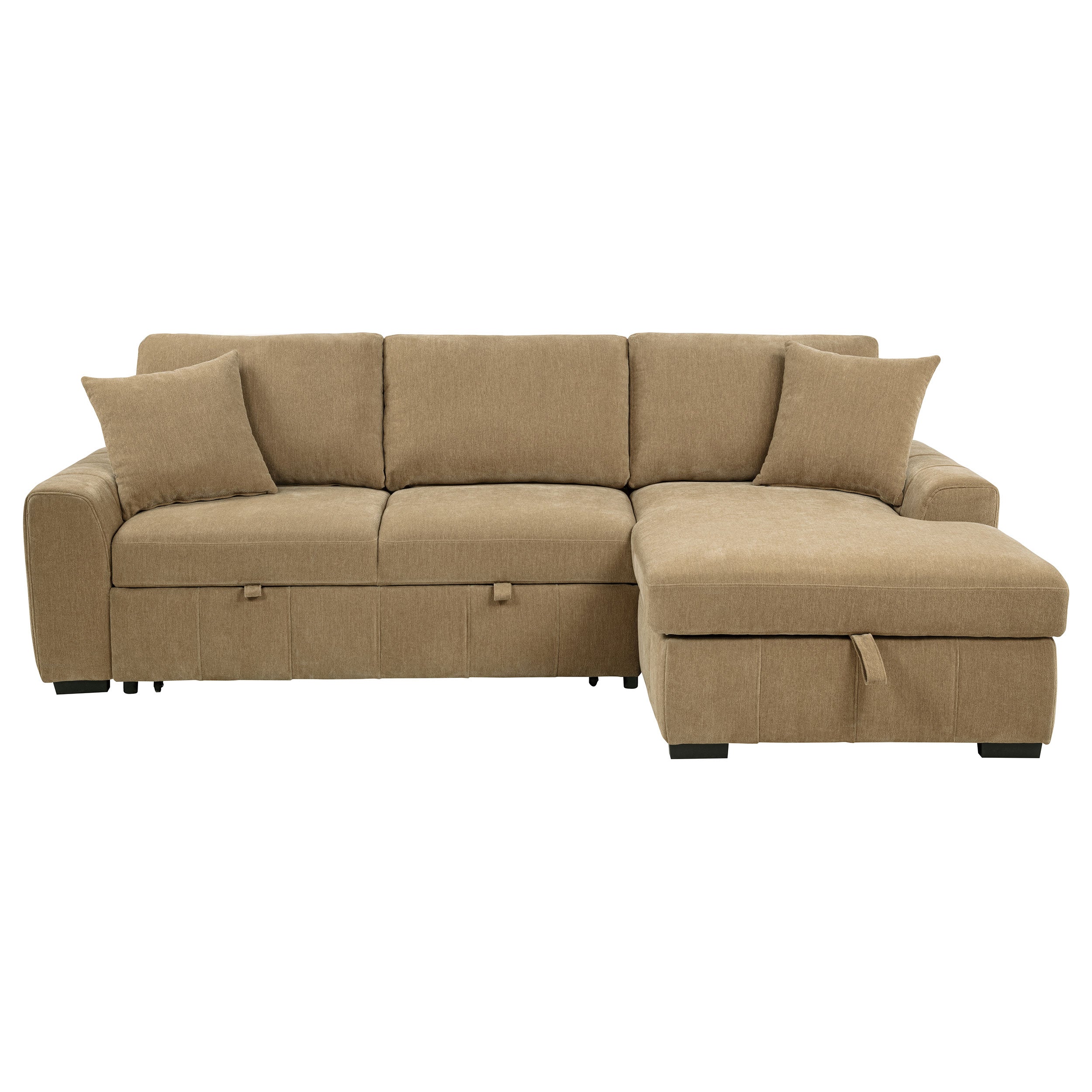 Pastrana Sleeper Sectional Sofa