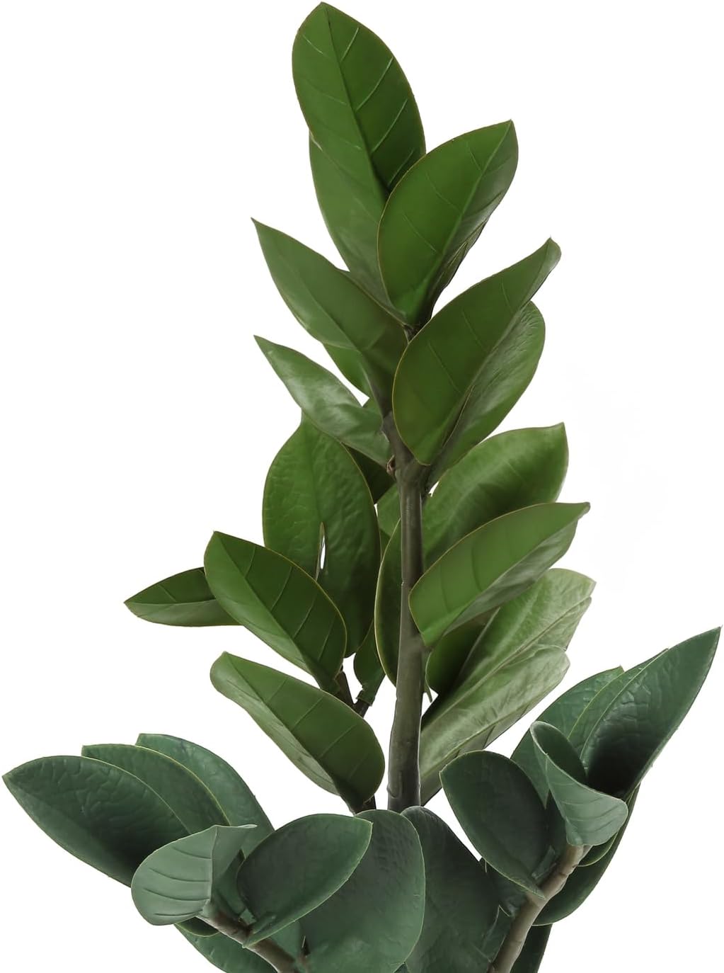 20-Inch Artificial ZZ Plant in Grey Cement Pot- Indoor