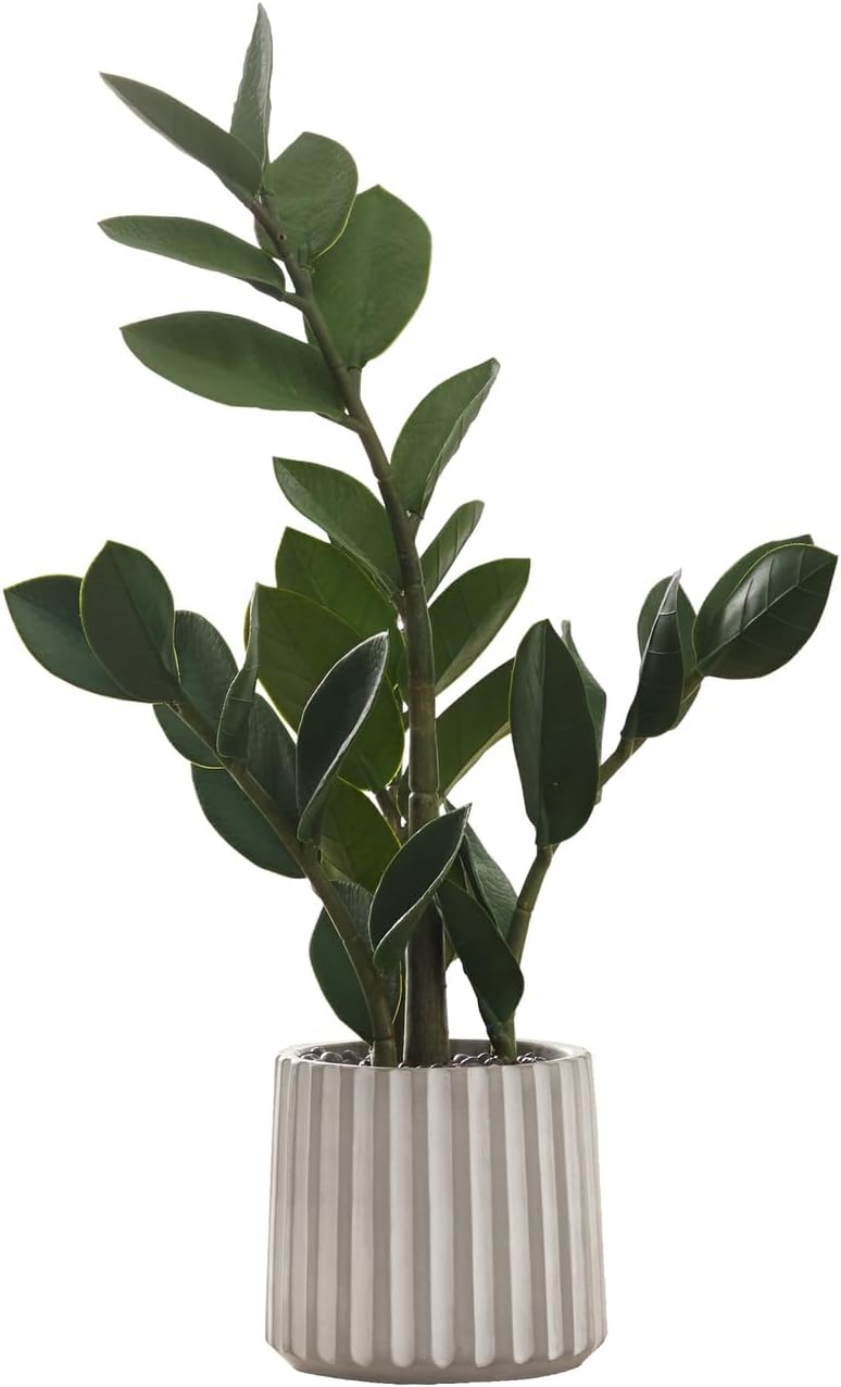 20-Inch Artificial ZZ Plant in Grey Cement Pot- Indoor