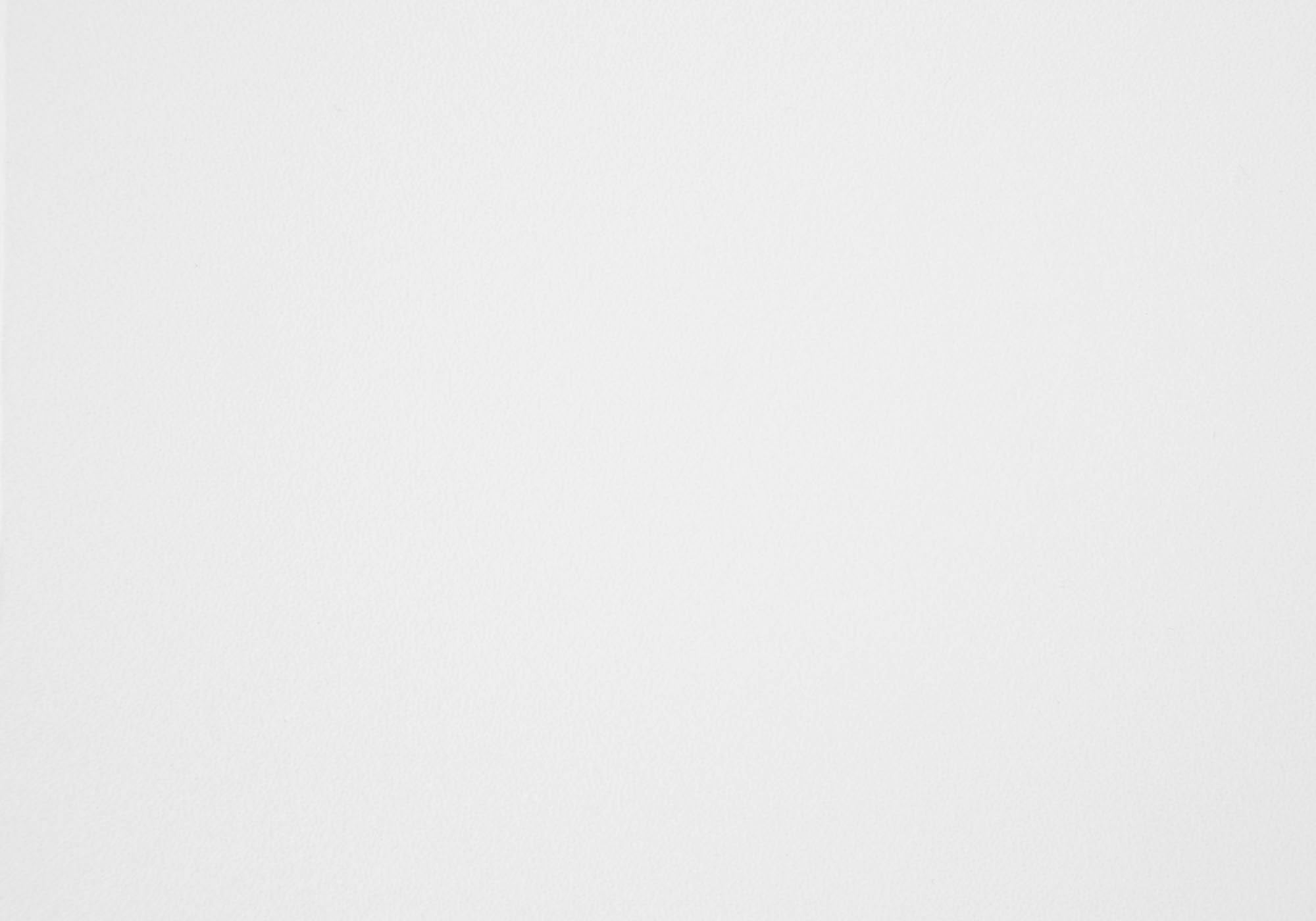 Modern X Back Kitchen Dining Side Chairs in White Set of 2