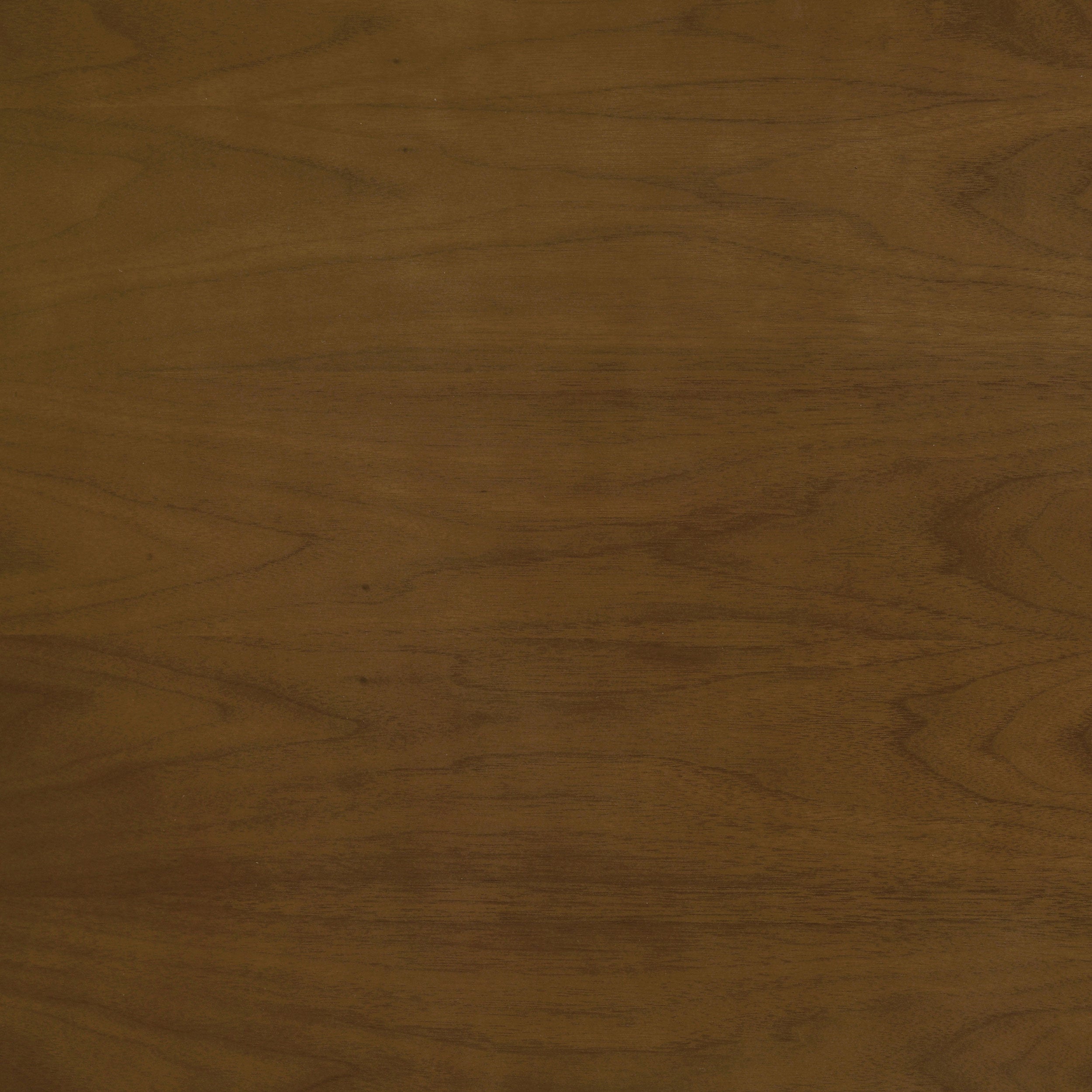 Jedda Side Chair