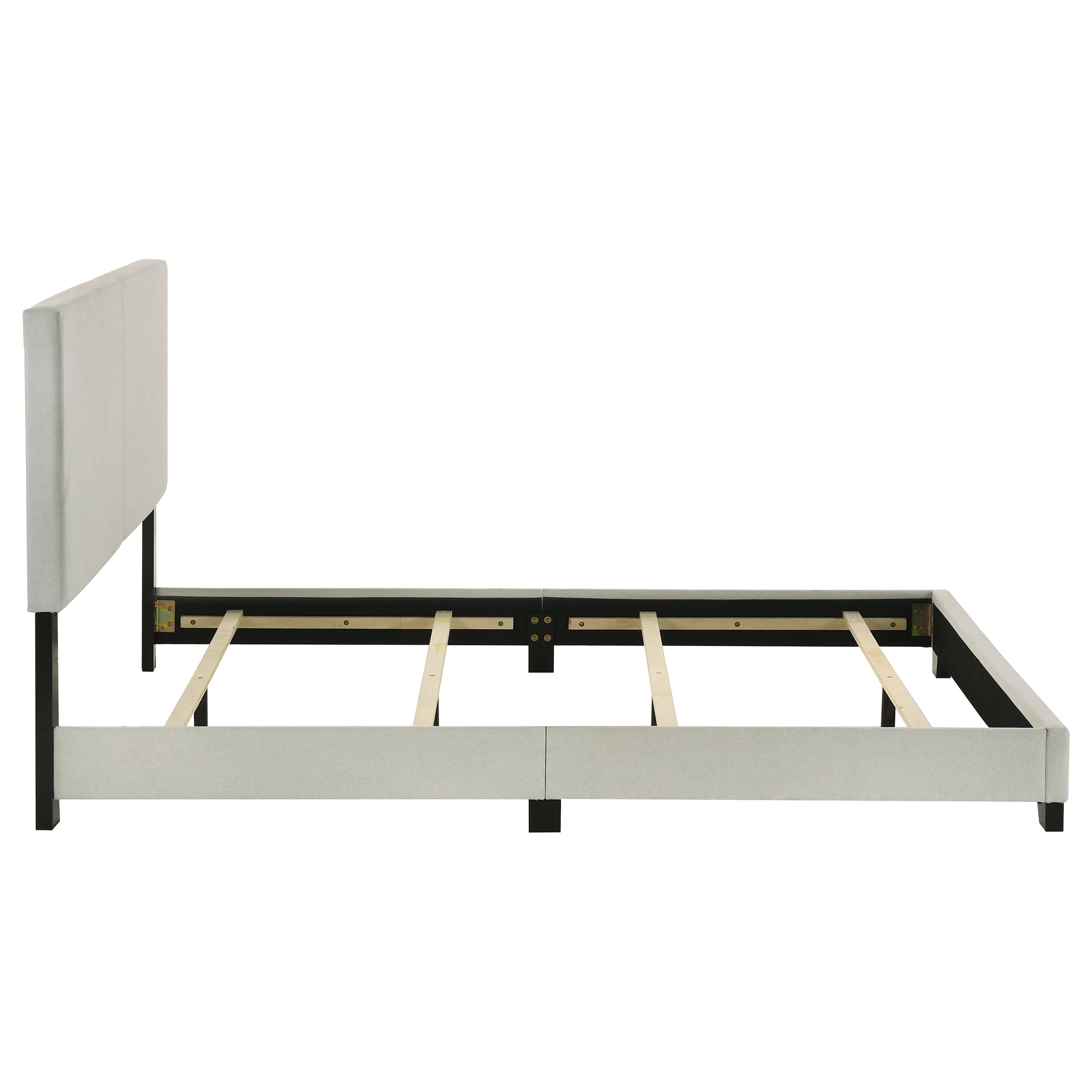 Dorian Upholstered Panel Bed