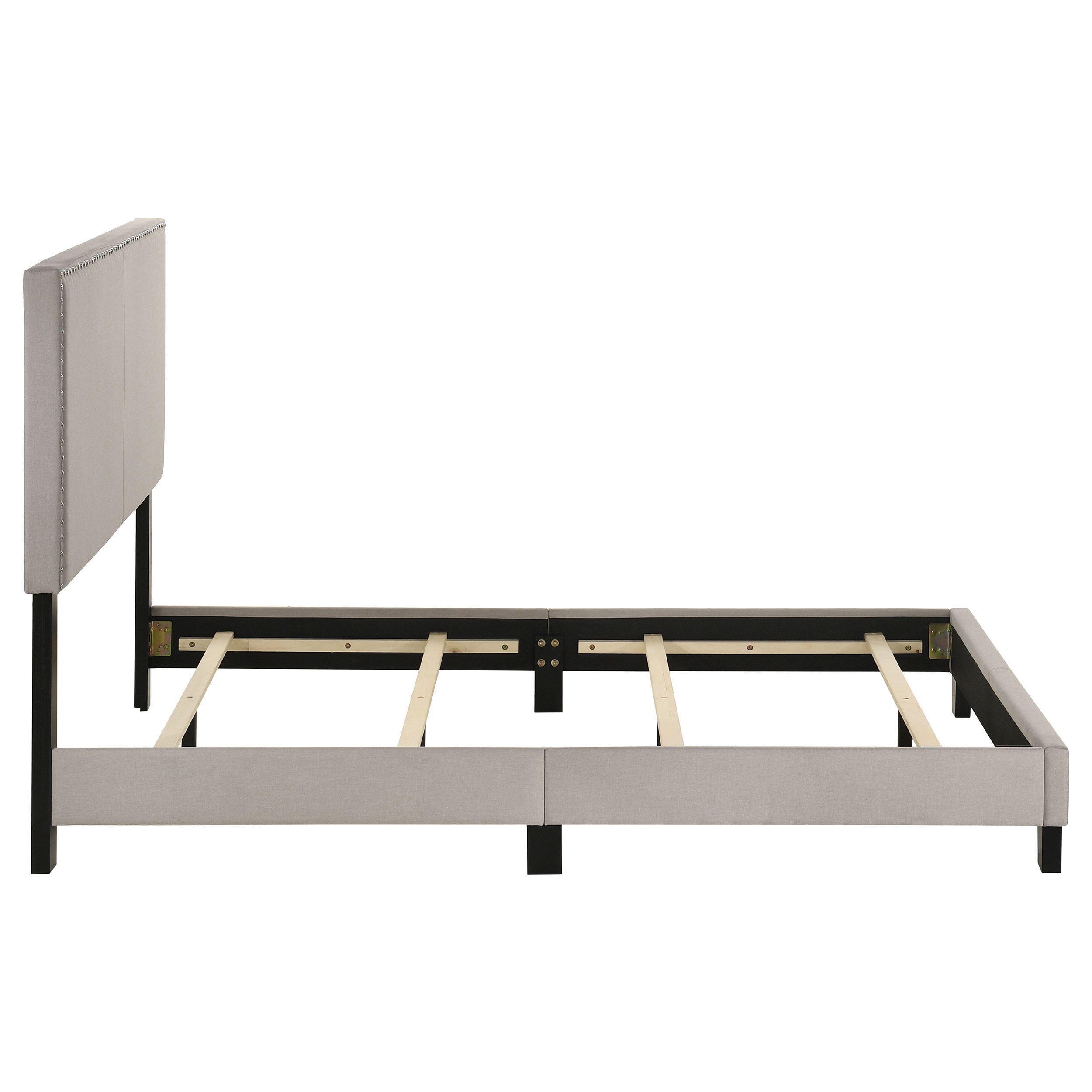 Boyd Upholstered Panel Bed