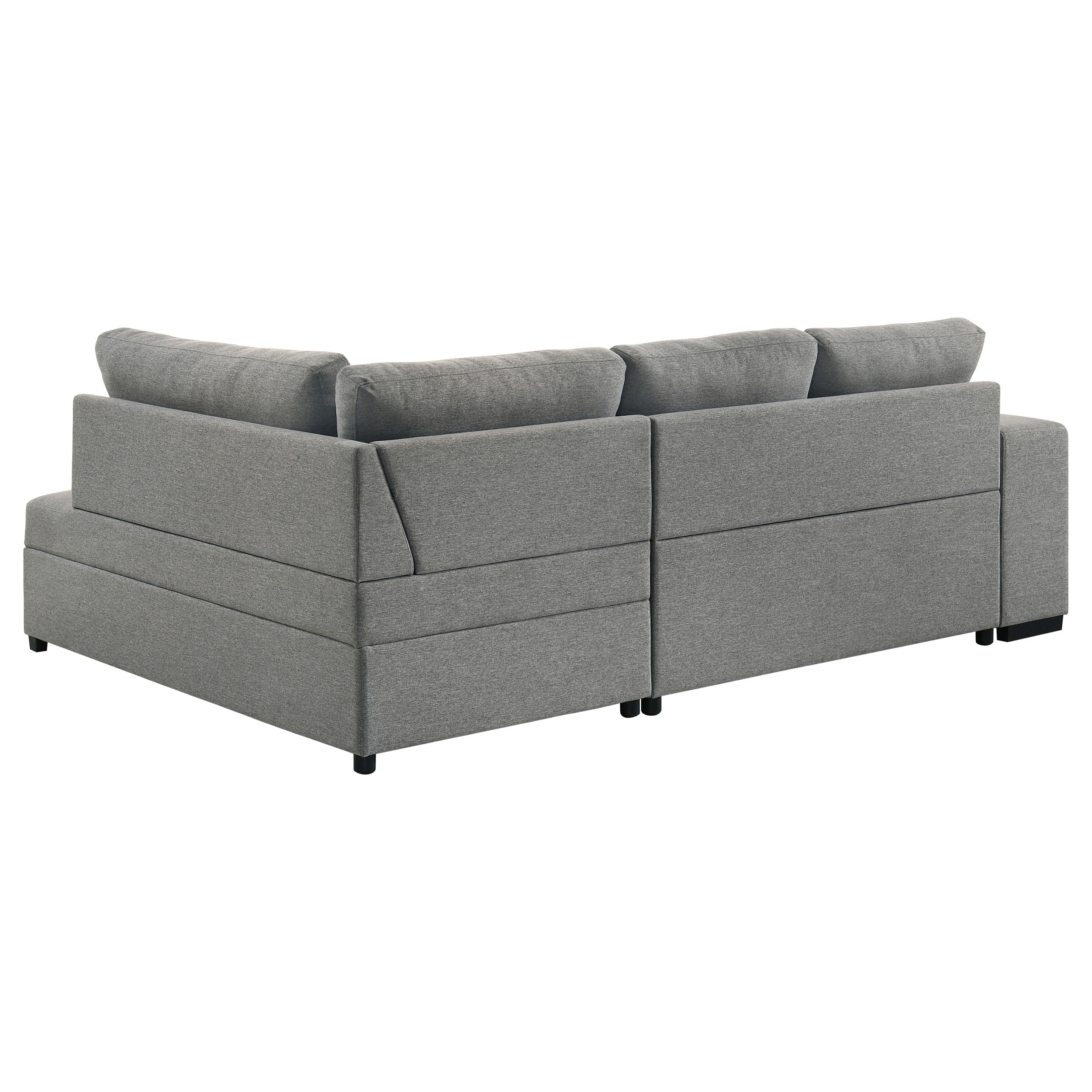 Roanne Sleeper Sectional Sofa