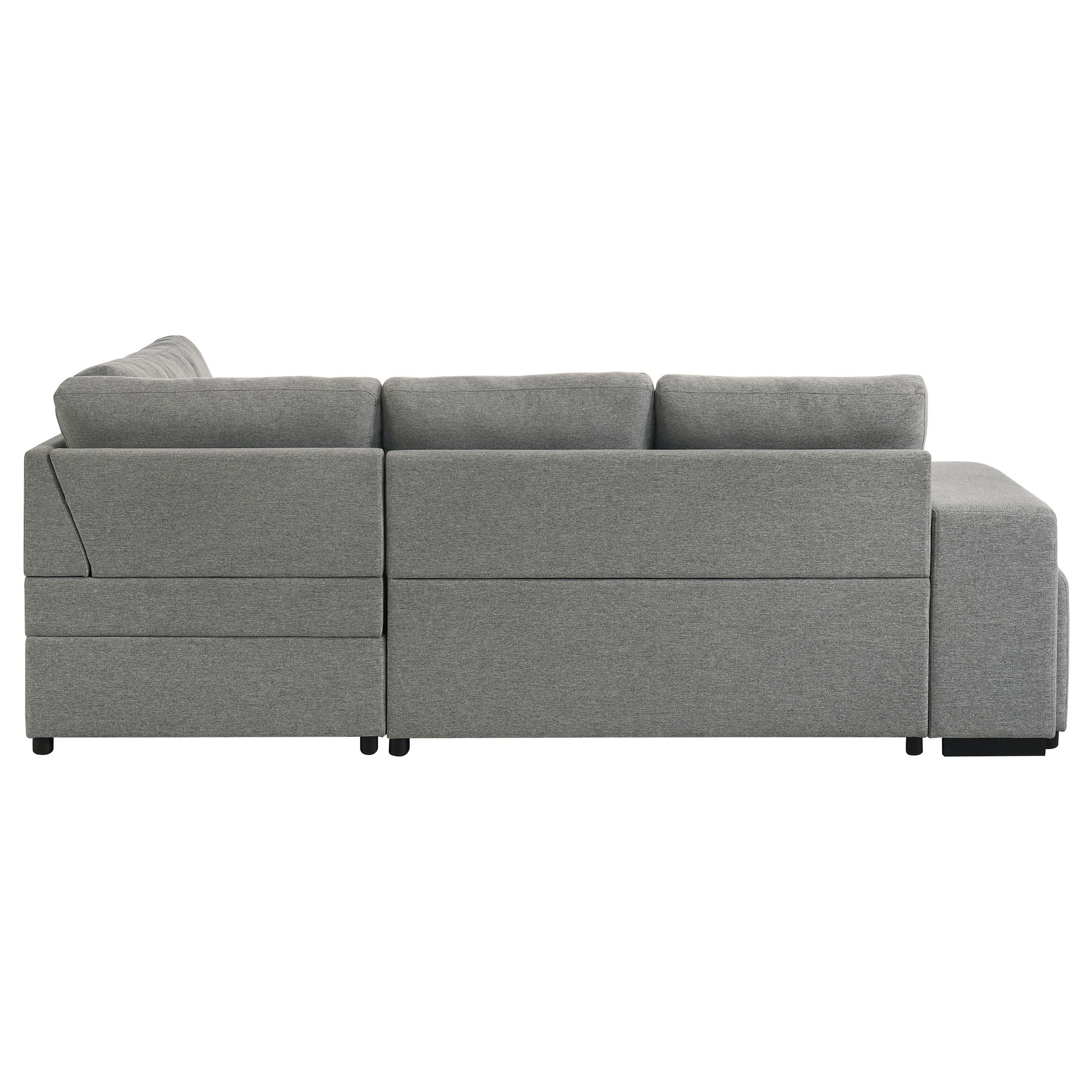 Roanne Sleeper Sectional Sofa