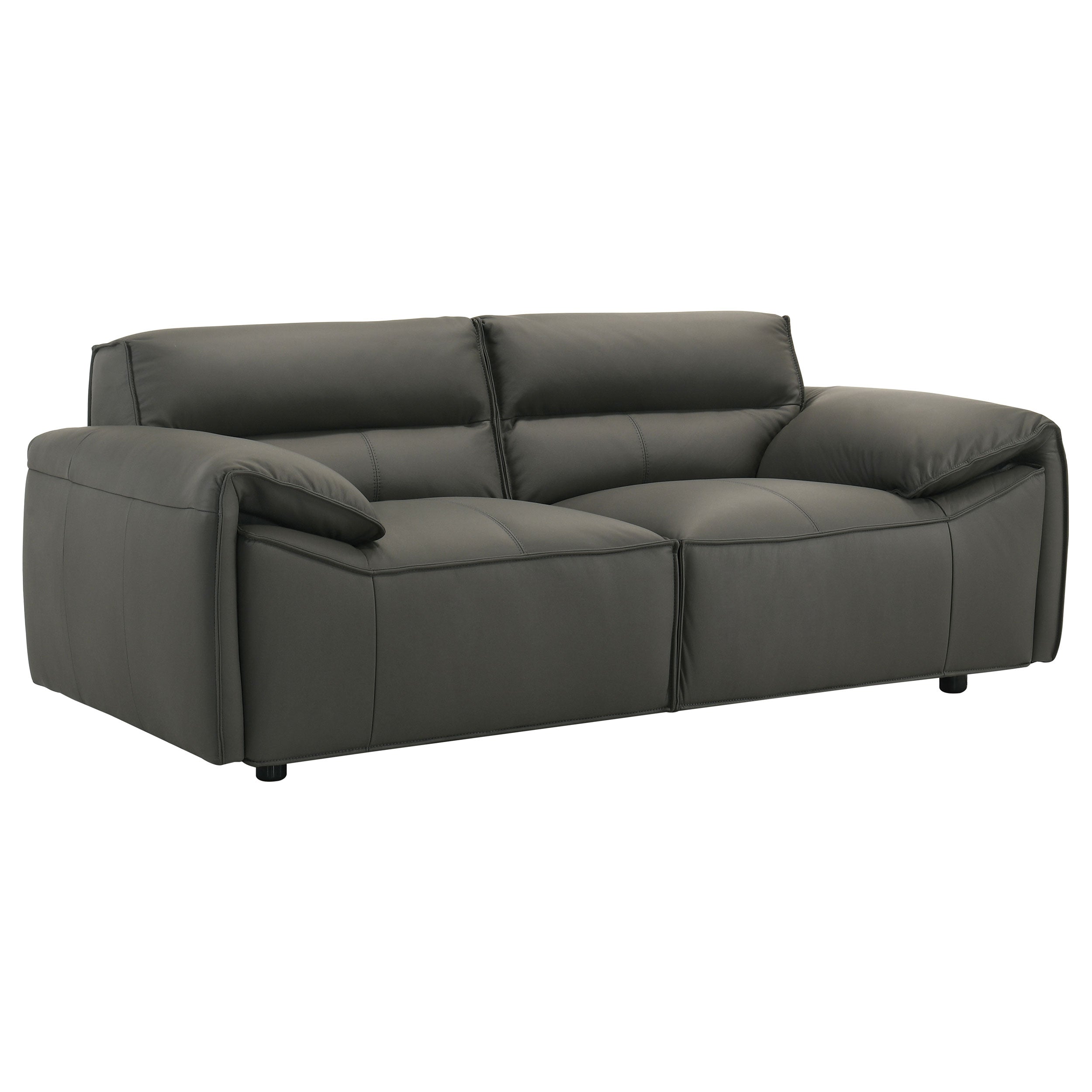 Buxton Loveseat Graphite