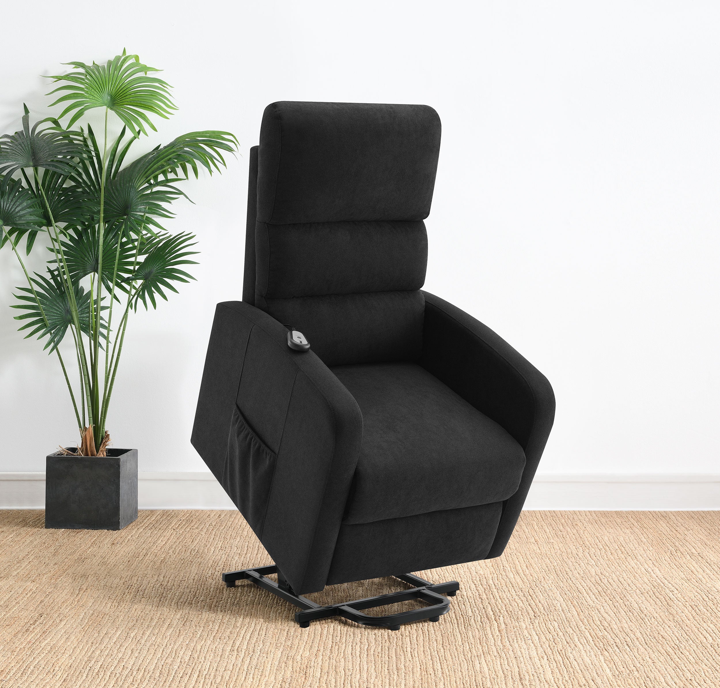 Amsdell Power Lift Recliner