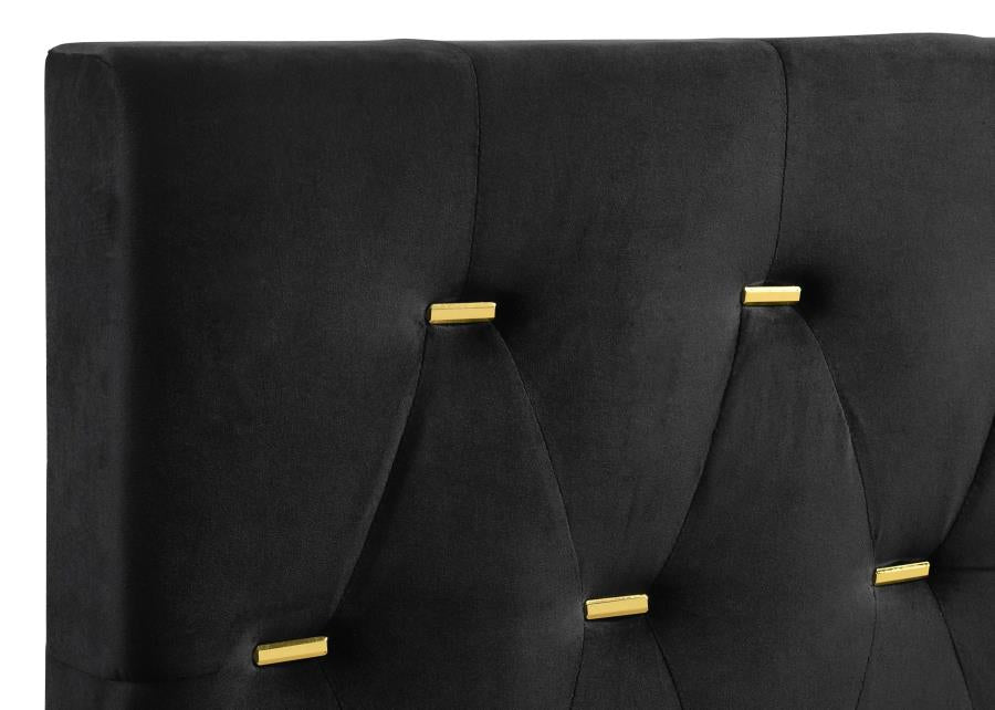 Kendall Upholstered Queen Panel Bed Black and Gold