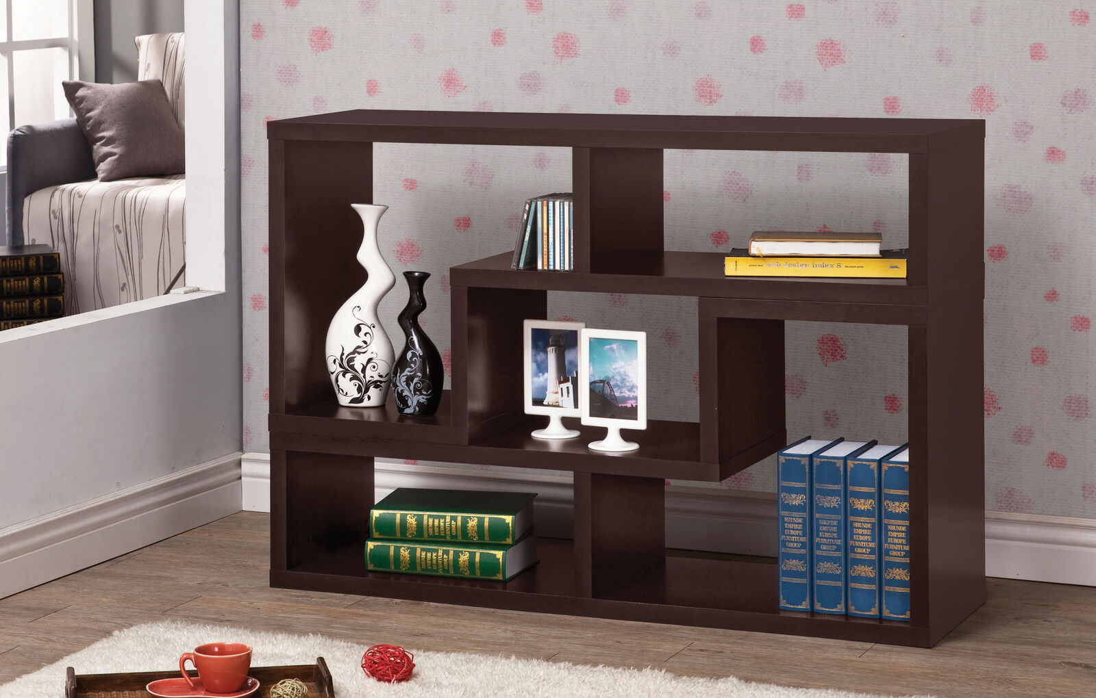 Velma Modern Convertable Bookcase And TV Console in Cappuccino